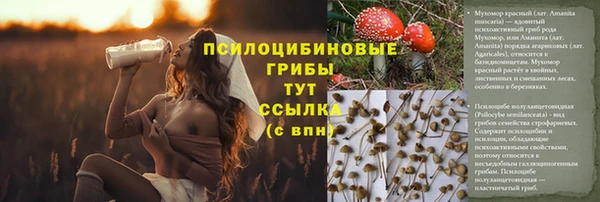 spice Козловка