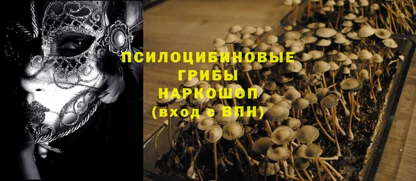 spice Козловка