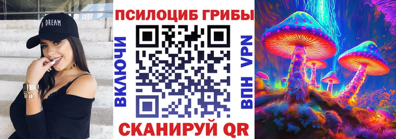 Галлюциногенные грибы Psilocybe  Купить закладки  Бирск 